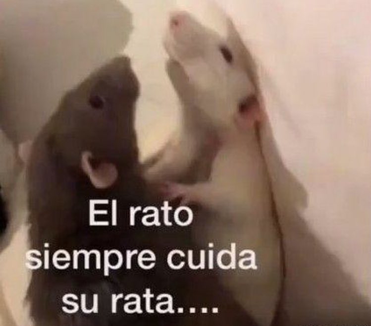 narru gripp (@narrugripp) on Twitter photo 