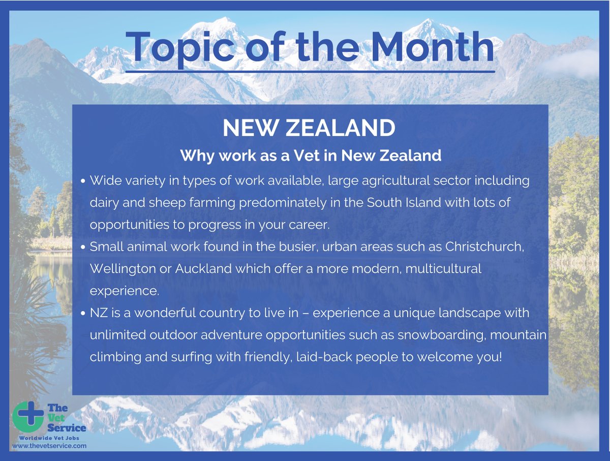 The topic of the month is New Zealand 💫

Read all about  👉Why work as a Vet in New Zealand 🤩

#thevetservice #vetstudents #vet #veterinarymedicine #veterinarysurgeon #vetlifestyle #vetlife #vetlocum #vetjob #vetjobs
