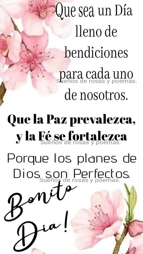 #ManoDuraABandasCorruptas
Muy buenos días mi bello grupo les deseo que tengan un maravilloso domingo familiar que lo pasen super lindo rodeado de sus hermosas familias Dios les bendiga hoy mañana y siempre besos y abrazos desde la distancia 😘 🤗
<a href="/IralisailC/">Iralisail. Carballo</a>  <a href="/ApureHumana/">GESTION HUMANA INIA APURE</a>