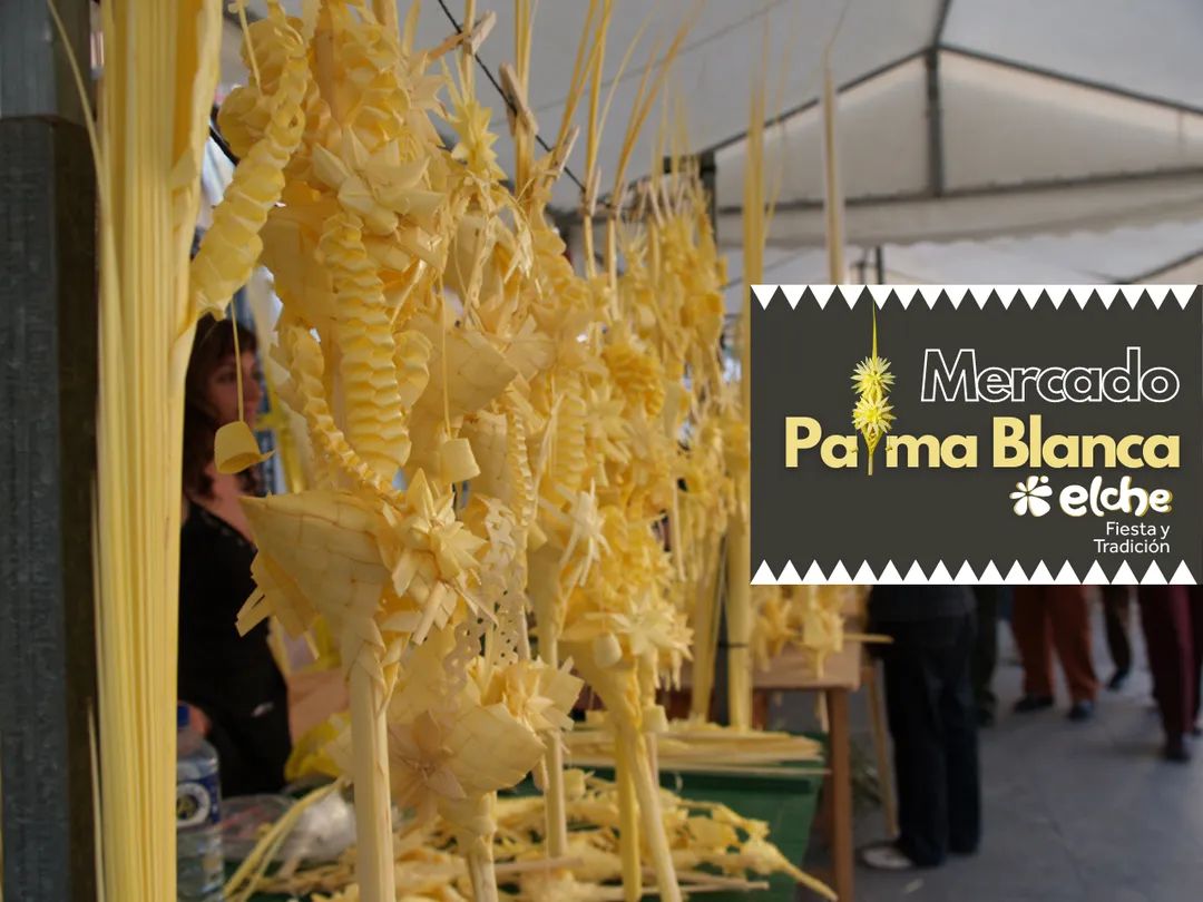 El #DomingoDeRamos de #Elche tiene un especial relieve por la cantidad de palmas blancas y rizadas que se pueden ver en el desfile procesional.

¿Te gustaría vivirlo?
Acércate al Mercado de la Palma Blanca el próximo fin de semana y elige tu favorita.

#SemanaSanta #PalmaBlanca