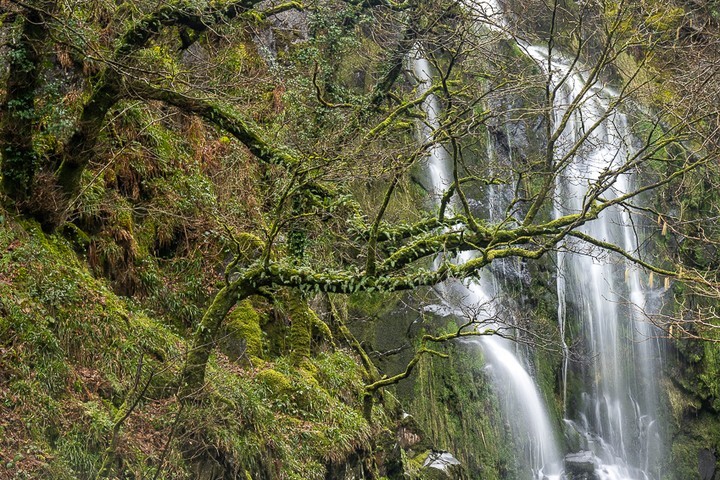 keith_kpics's tweet photo. Fall and Tree Snowdonia workshop with @justinminns #llanberis #llanberisfalls #waterfall #tree #longexposure #nikon #nikonz7ii #leefilters#landscapephotography #kpicsphotography #wales #northwales #snowdonia #beckenhamps https://t.co/2Se4JT3zEo https://t.co/YcqakdUBkW