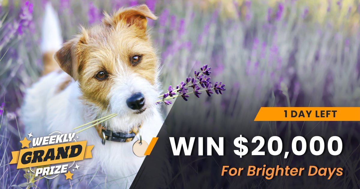 Don’t let a “Ruff” Winter get you down. Bring on the brighter days of Spring with an incredible $20,000.00 Cash! 🐶 1 Day Left - Let’s get it: bit.ly/3JP7BgZ