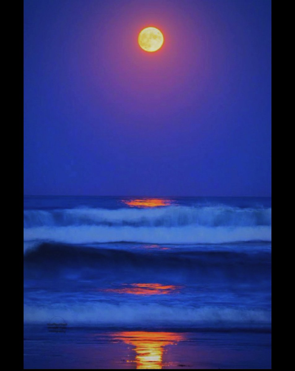 Dreaming of warm summer moonlit nights on the beach. 

#moon #moonscape #amazingmoon #yes_busa  #maine #fortheloveofmaine #raw_waters #wanderlust #discoverearth #totalmoon #mainescenes #igersnewengland #yankeemagazine #newenglandtraveljournal #mainemag  #igersnewengland