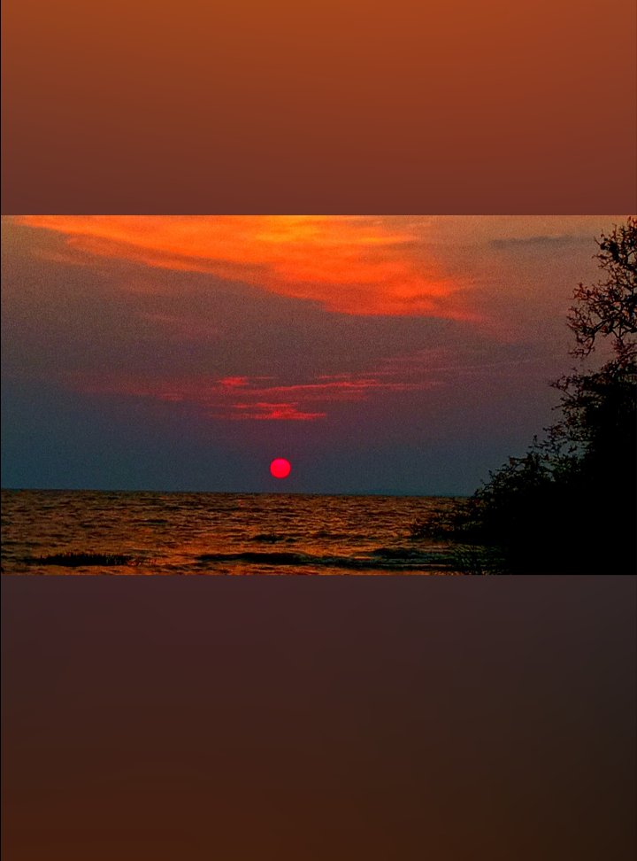 Osqar009's tweet photo. 📍#Kisumu Dunga Beach

Random pictures by @Page_IX https://t.co/UwQW08MEAY
