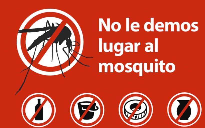 GamarnikLab's tweet photo. ARGENTINA: nuevamente nos enfrentamos a un brote de dengue PREOCUPANTE
Los brotes de dengue son explosivos. Una vez que arrancan son difíciles de detener
¿QUE HACEMOS? prevenir eliminando criaderos y usar repelente
SIN mosquitos NO hay dengue
En caso de fiebre...asistencia médica https://t.co/pLWaskP7oU
