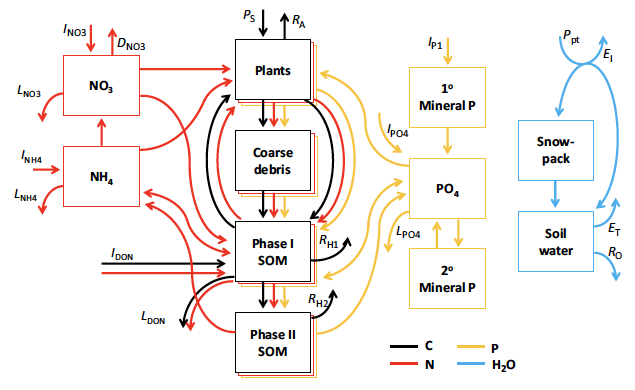 SciPasTips's tweet image. The response of #ecosystem​s to climate change depends on nitrogen and phosphorus constraints. This was shown with a Multiple Element Limitation (MEL) model that was coded in #Object_Pascal with the #Lazarus IDE for #Free_Pascal. #Pascal #programming pubmed.ncbi.nlm.nih.gov/35633204/