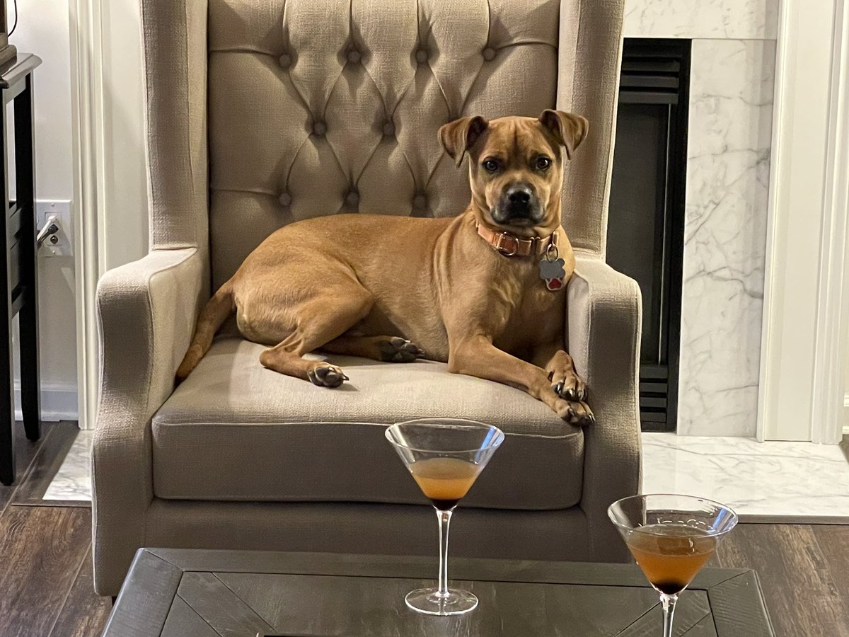 Hamilton tweet media