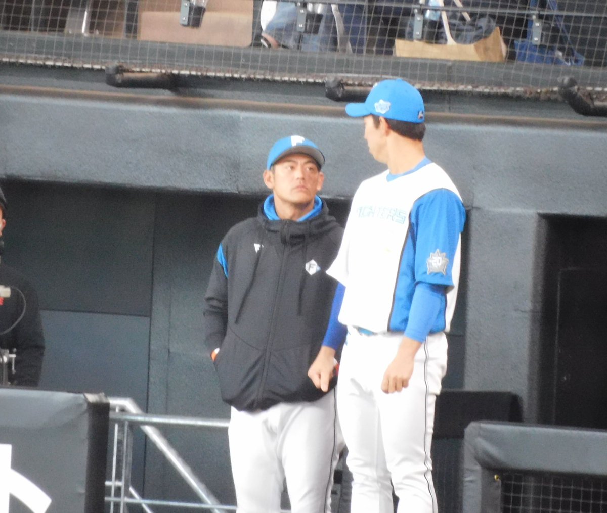 SUMINAFHERO61's tweet photo. #2023年03月25日
#LoveFighters
#飯山コーチ
#sec135
#内野席3塁側1階席
#8列目
飯山コーチとこんな近くで話せる人生どこですか? https://t.co/7DTL9XeEAd