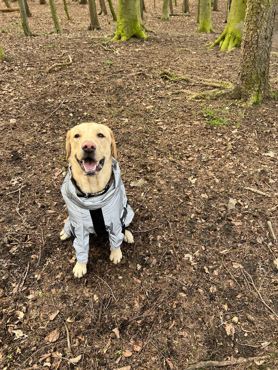 The most handsome 🧑🏽‍🚀 🚀 🌎 🌲💙