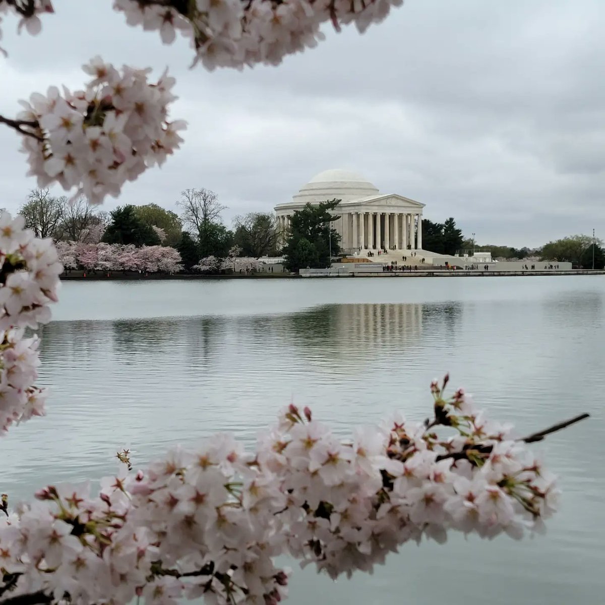 Two days, over 50,000 steps, and chilly rain, but a great weekend getaway to see more of DC area.
