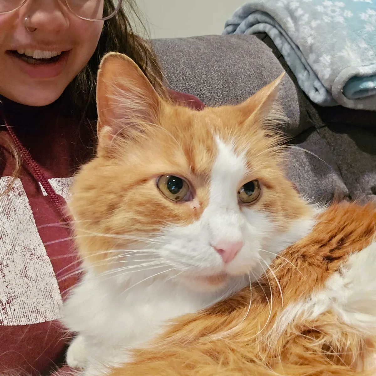 noodlelydia's tweet photo. I now have two cat nephews https://t.co/ygzEbEyvpH