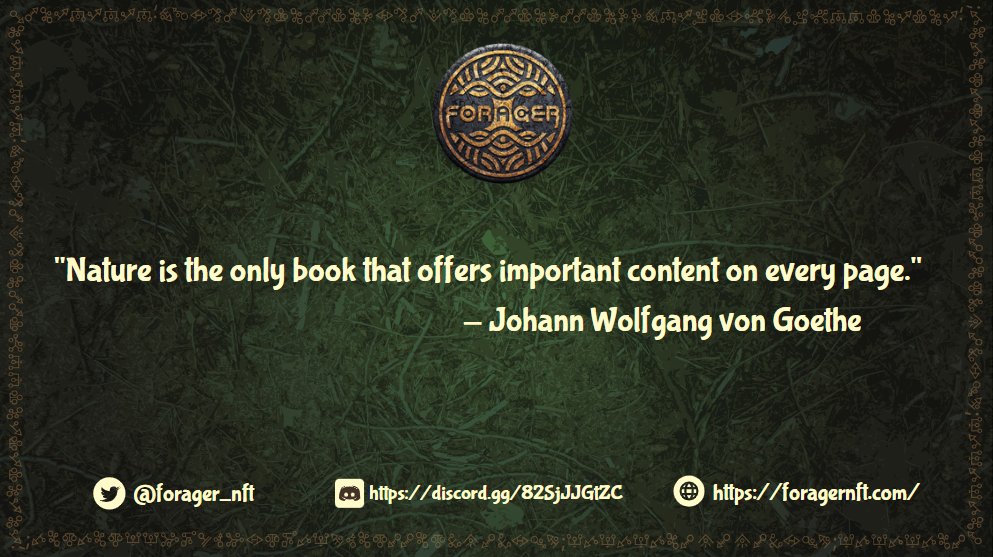 ForagerNFT tweet media