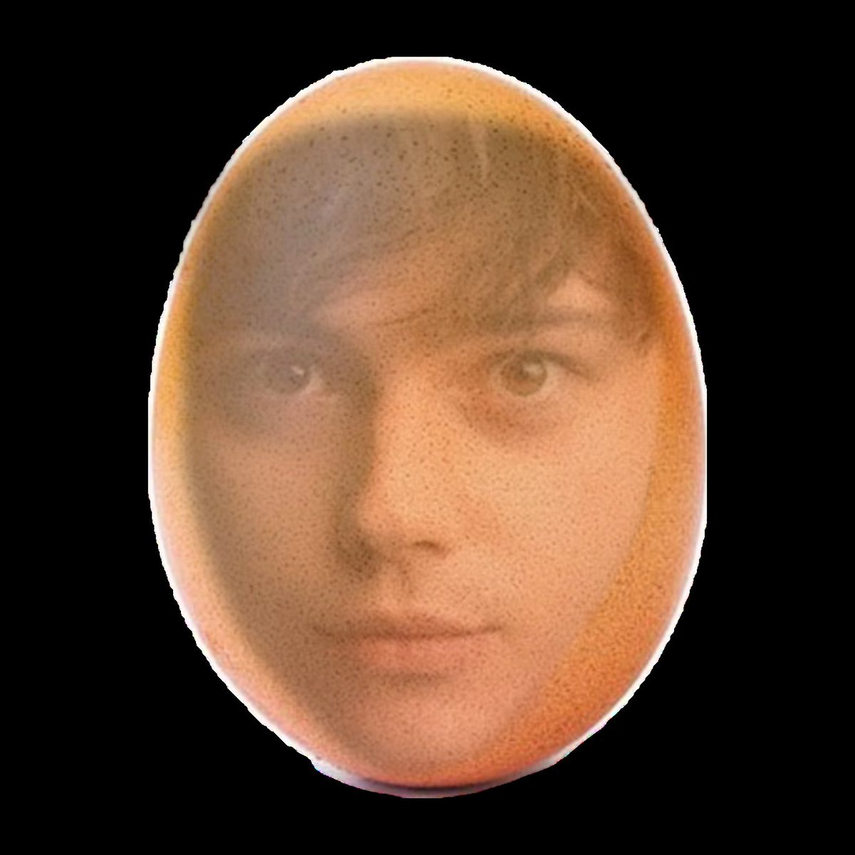 wylan van egg