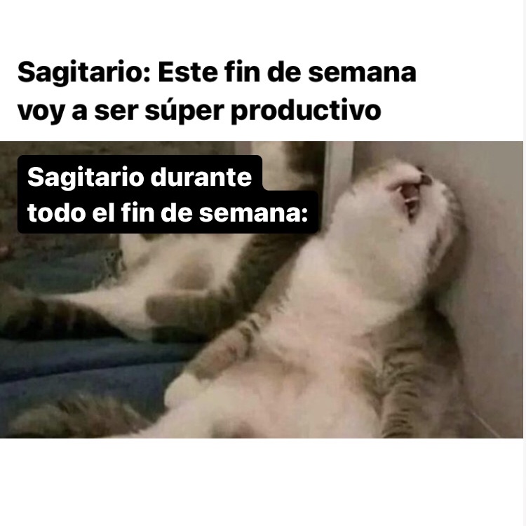 sagitario_hn's tweet photo. 🤣🤣🤣 #sagitario #horoscoponegro https://t.co/ezRx5sJqzI