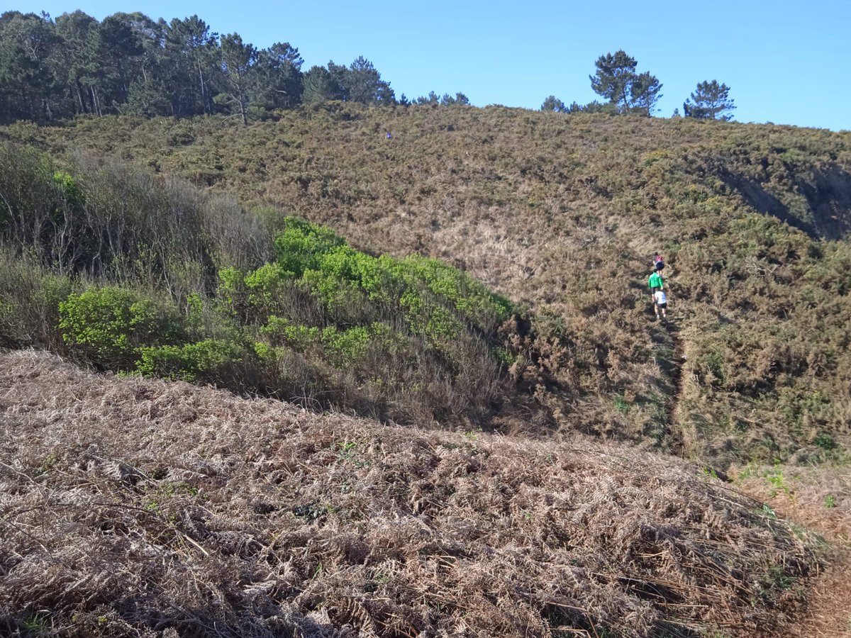 BNGOleiros's tweet photo. Celebrouse ao longo da mañá o IX Trail Costa de Dexo en pleno espazo natural (des)protexido, zona ZEC da #RedeNatura. Camiños abertos ad hoc sen supervisión ambiental ningunha e consecuencias negativas para o Monumento Natural que van moito máis alá deste día ⬇️ https://t.co/zAkHIpqitb