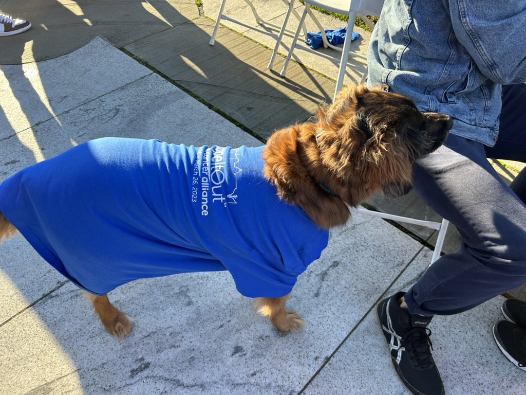 kwilliams101's tweet photo. Cutest dog out here https://t.co/LRRoap8PsN