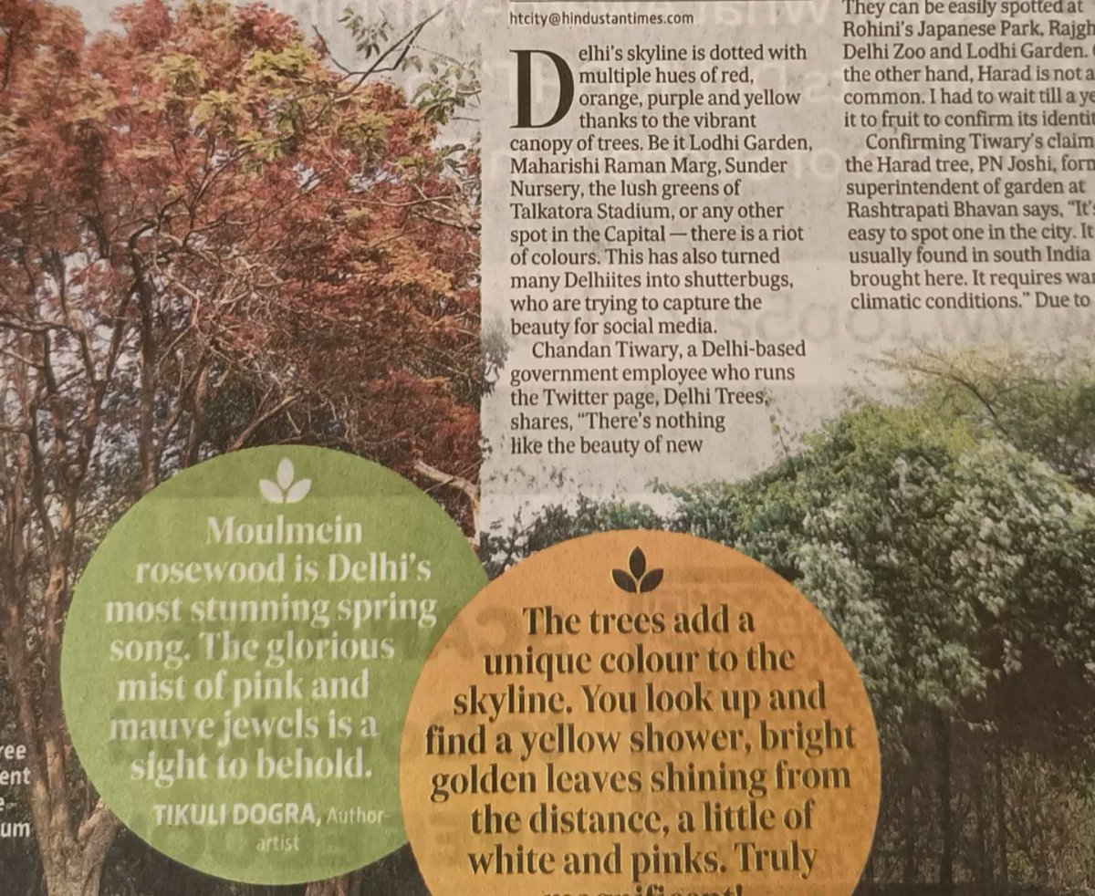 tikulli's tweet photo. I can't keep calm. In @htcity's lifestyle section today with @delhitrees @authormadhulika . Thank you so much @maishascribbles . #delhitrees #treesofdelhi #spring #springindelhi #delhispring #Flowers #FlowerReport @seasonwatch_in @NDNS_HQ https://t.co/G0dcw8EPz1