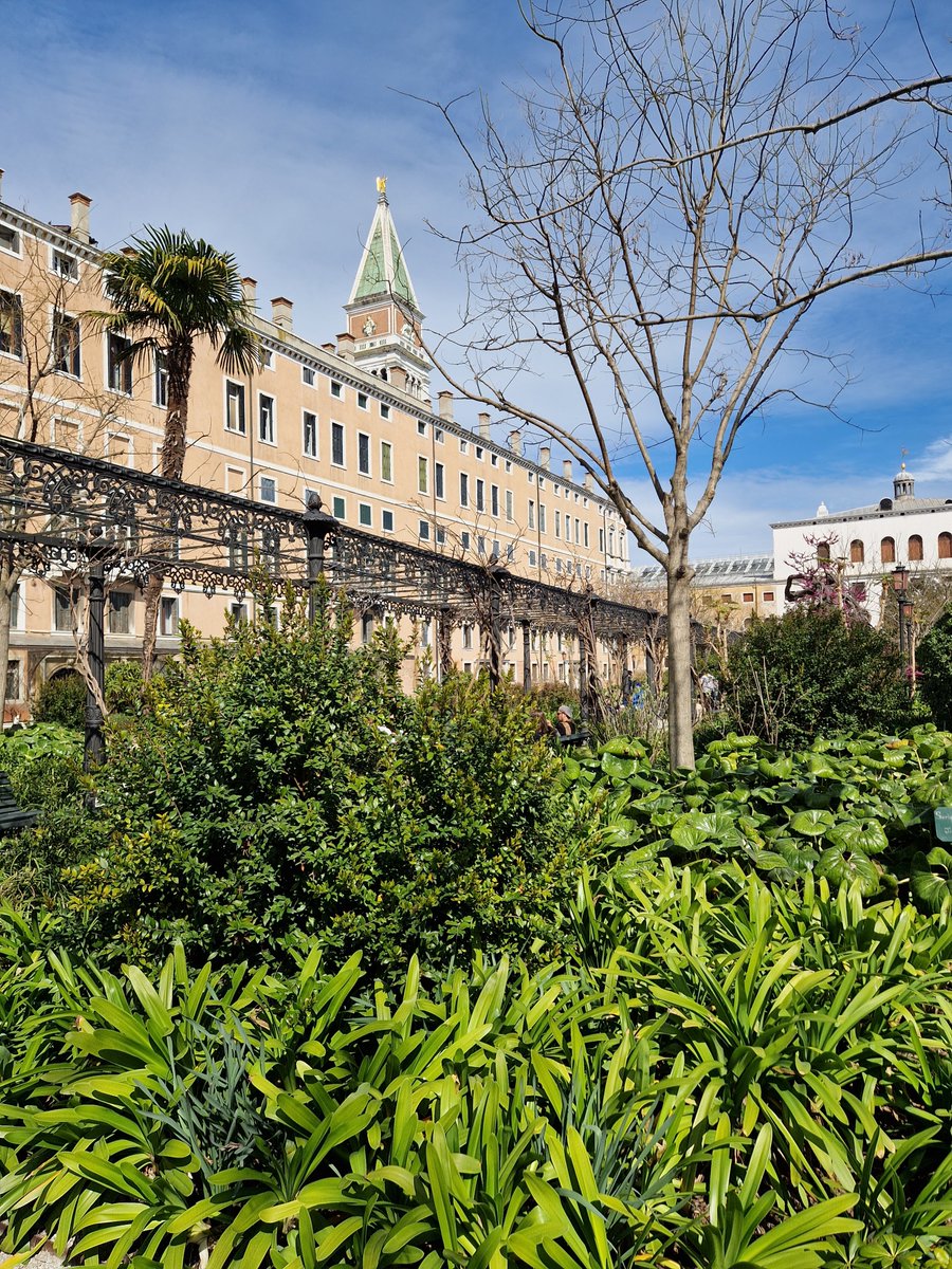 peterlovsin's tweet image. In the footsteps of @TheMontyDon