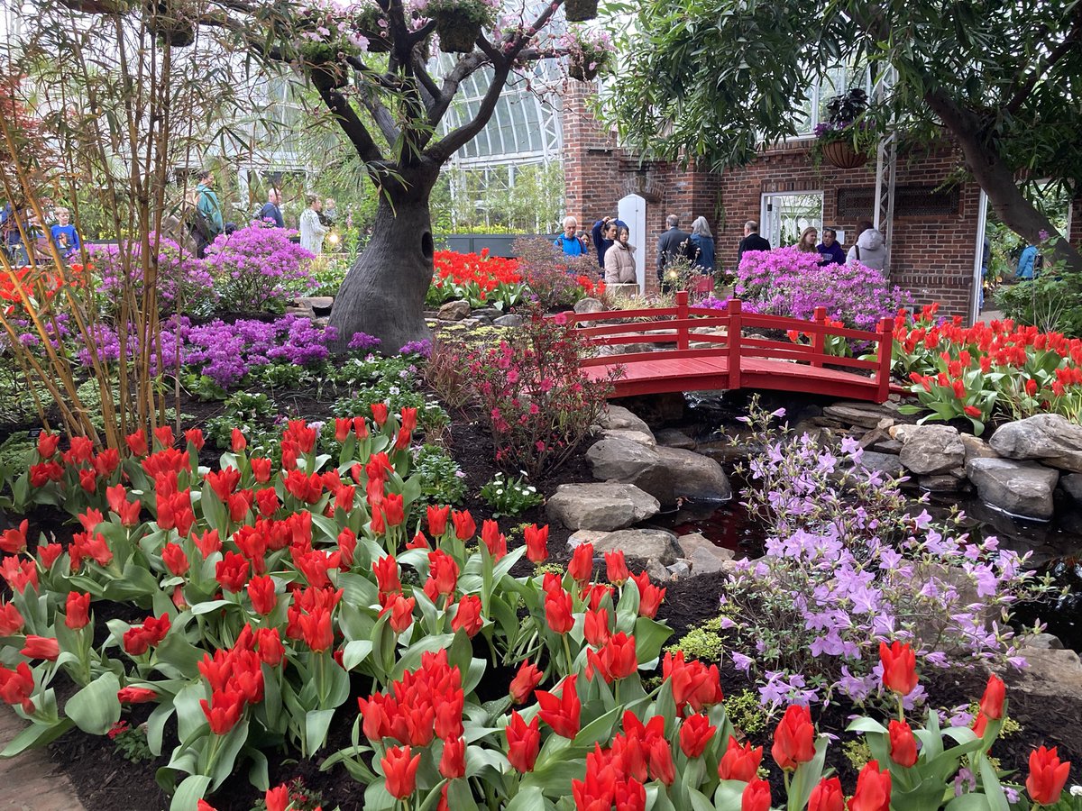 PavloskyCory's tweet photo. She said yes! ❤️💕🥰 Phipps was amazing! Spring Flower Show! https://t.co/k9kCoOkdy6