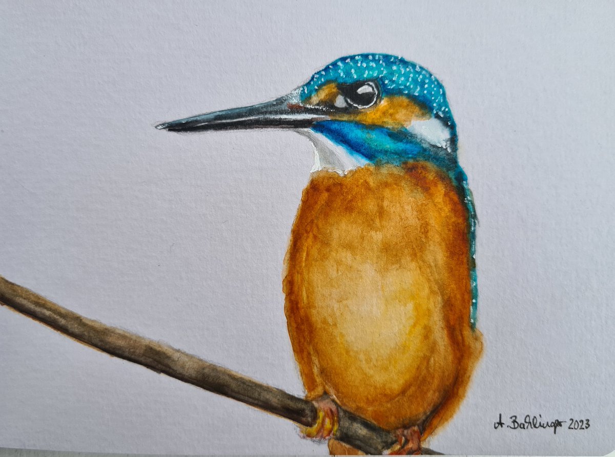 BahlingerArtist's tweet photo. #animalmarch Tag 26: #Eisvogel #kingfisher
 #kleineKunstklasse 
#artwork #Aquarell #watercolorpainting #watercolor https://t.co/t51LliidqE