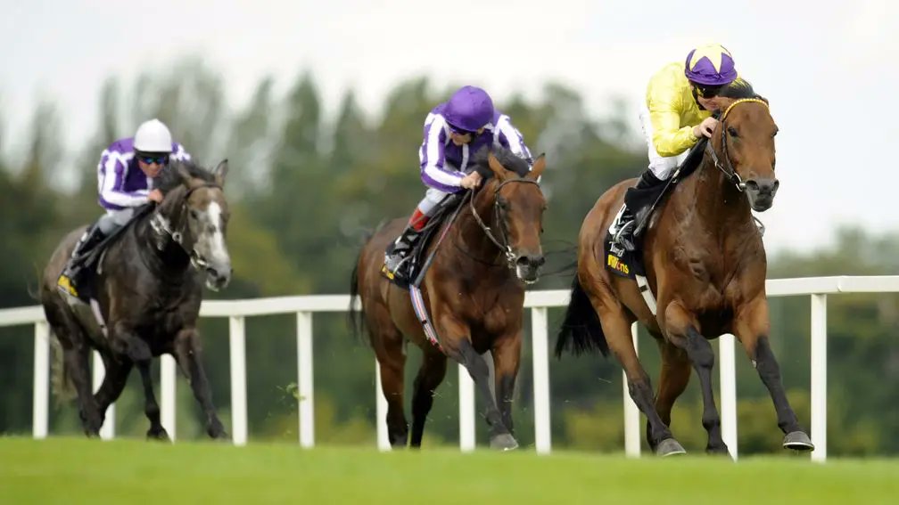 Racing Post tweet media