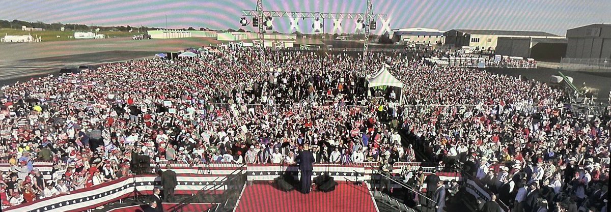 Collin Rugg tweet media