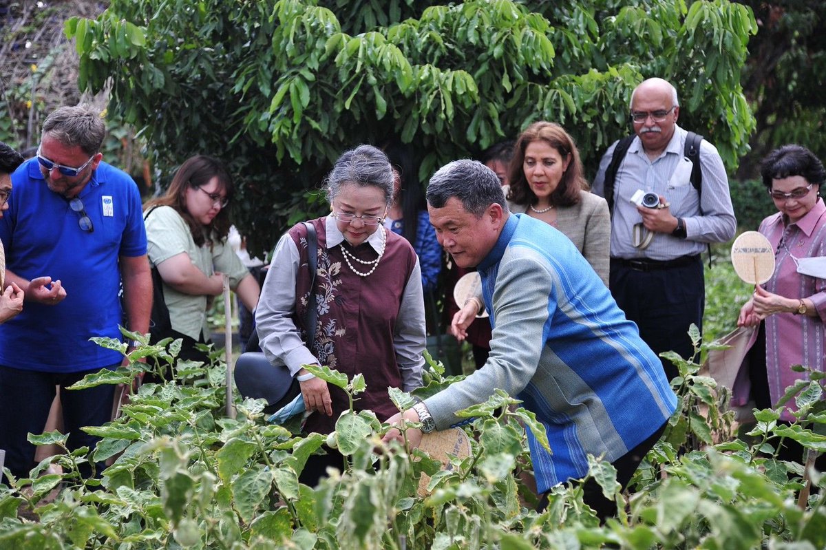 UN_Armida's tweet photo. Today I visited Kong Thanu village in Lopburi Province and feeling super inspired!
💡 Seeing the #SDGsLocalization & sustainable practices being used to address the community's needs is truly encouraging.
#Thailand🇹🇭 is setting a vision for accelerated action on #GlobalGoals! https://t.co/HRUcQbpz6O