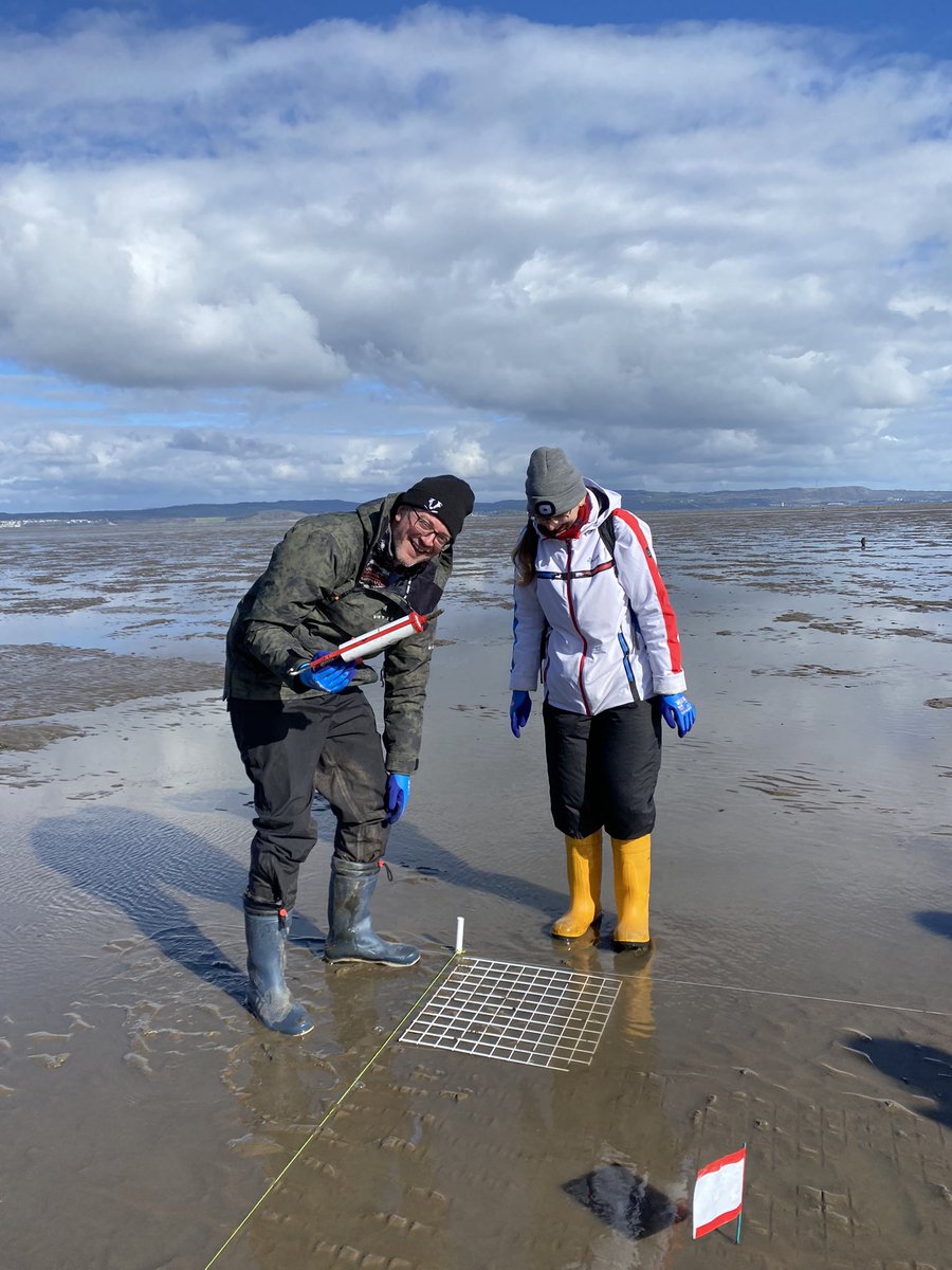 Had a great morning planting sea grass on the Firth of Forth with #RestorationForth today using the novel ‘direct injection’ technique. Fingers are crossed for germination! Fantastic collaborations and funding from the @nature_scot #NatureRestorationFund