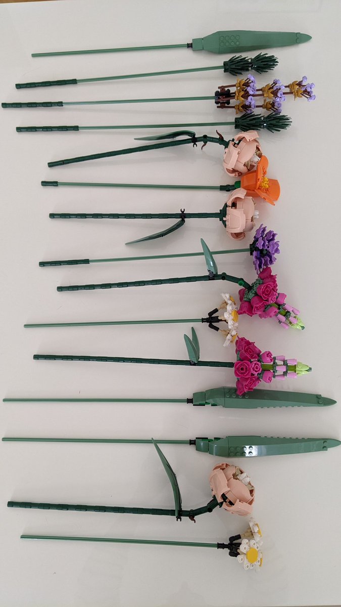 ClaudiaZettel tweet media