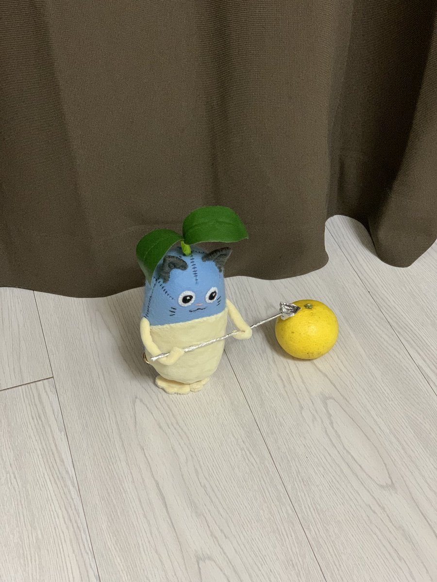 0__F_ta_kun's tweet photo. https://t.co/bVXtkNBq1p