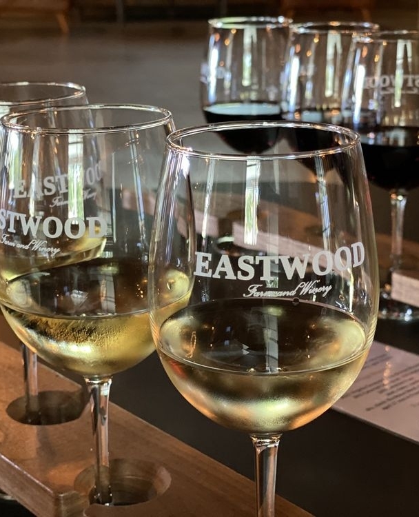 There's nothing quite like drinking wine among the vines 🍇 Your palate will thank you after a day of wine tasting at @eastwoodfarmandwinery 🍷 Cheers!
