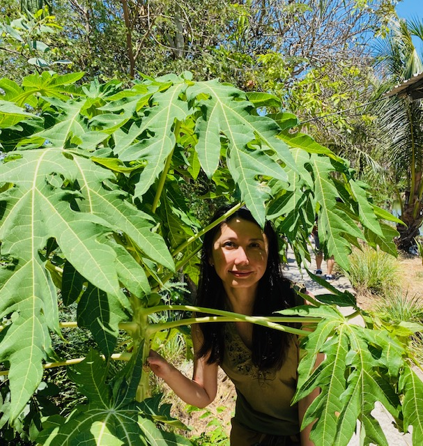 Nhung N Tran-Davies tweet media