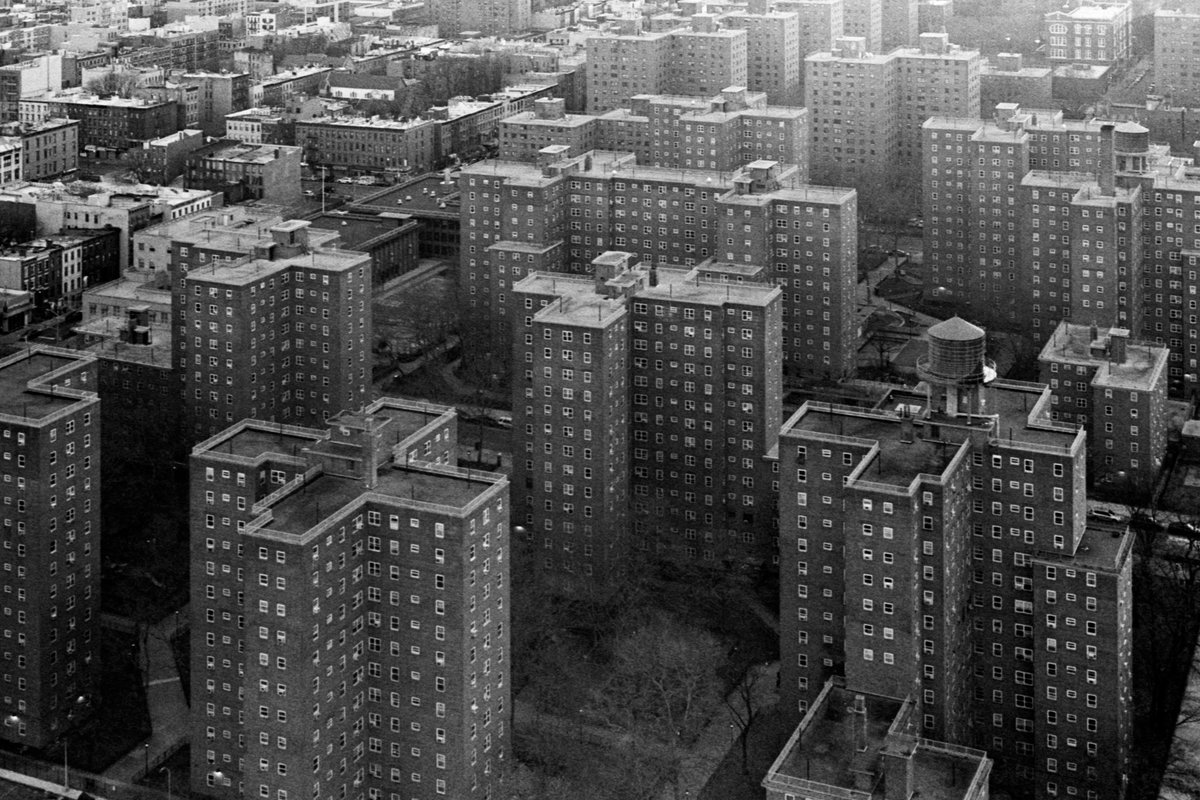A couple of frames from my last roll. Feels good to leave pictures alone sometimes.