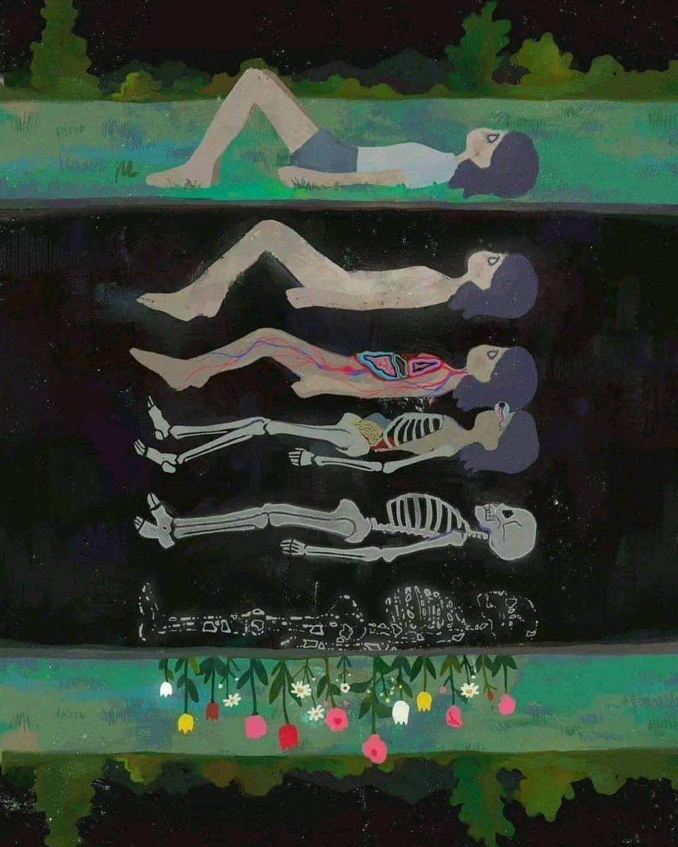 La materia no se crea ni se destruye, solo se transforma. ✨