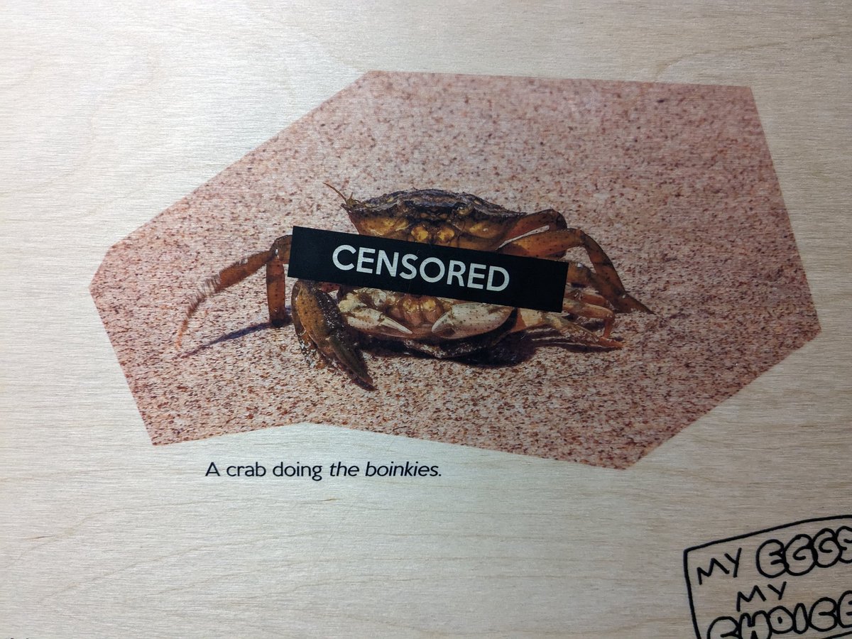 Stef North Sagrott tweet media