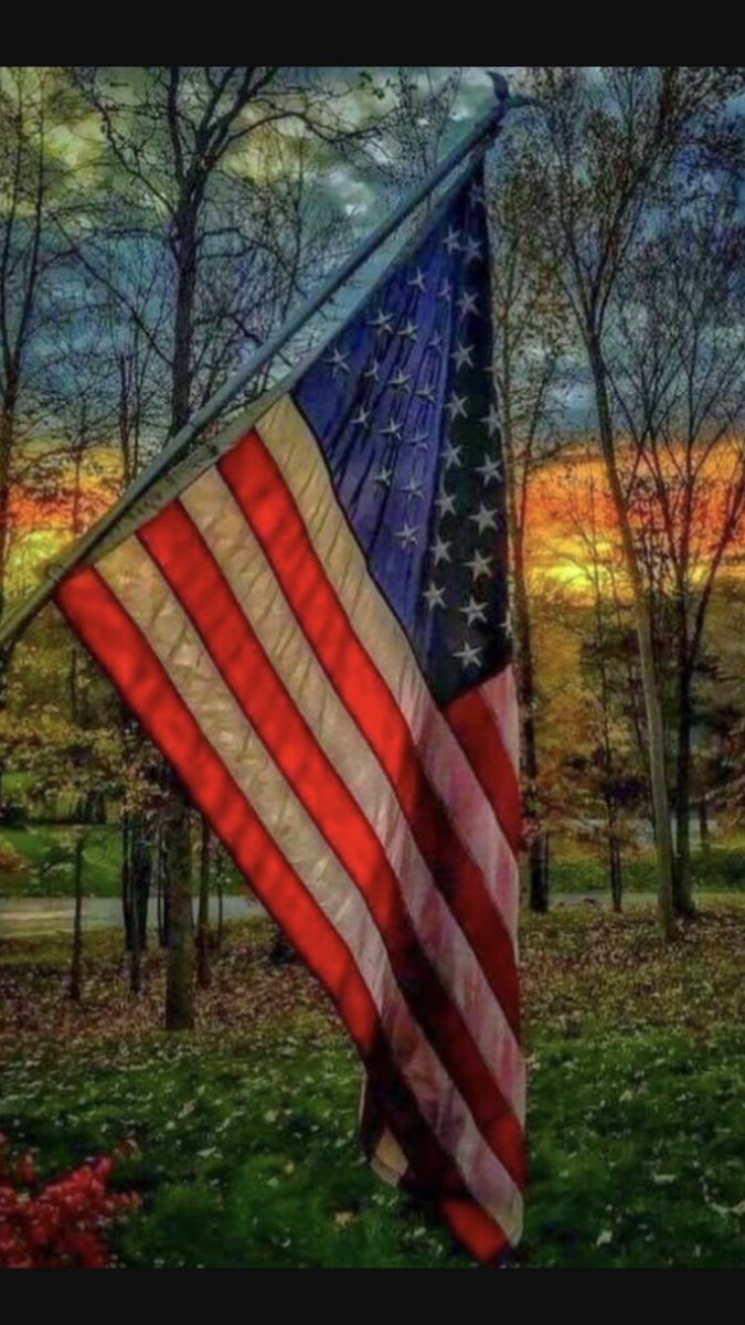 Texasblue1's tweet photo. I pledge allegiance to the flag of the United States of America and to the Republic for which it stands one nation under God indivisible with liberty and Justice for all https://t.co/ciQ8as7k8N