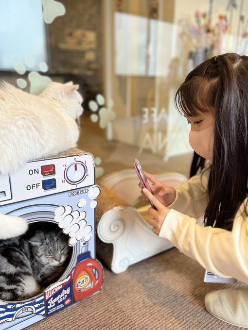 Twitterのコスプレ画像5