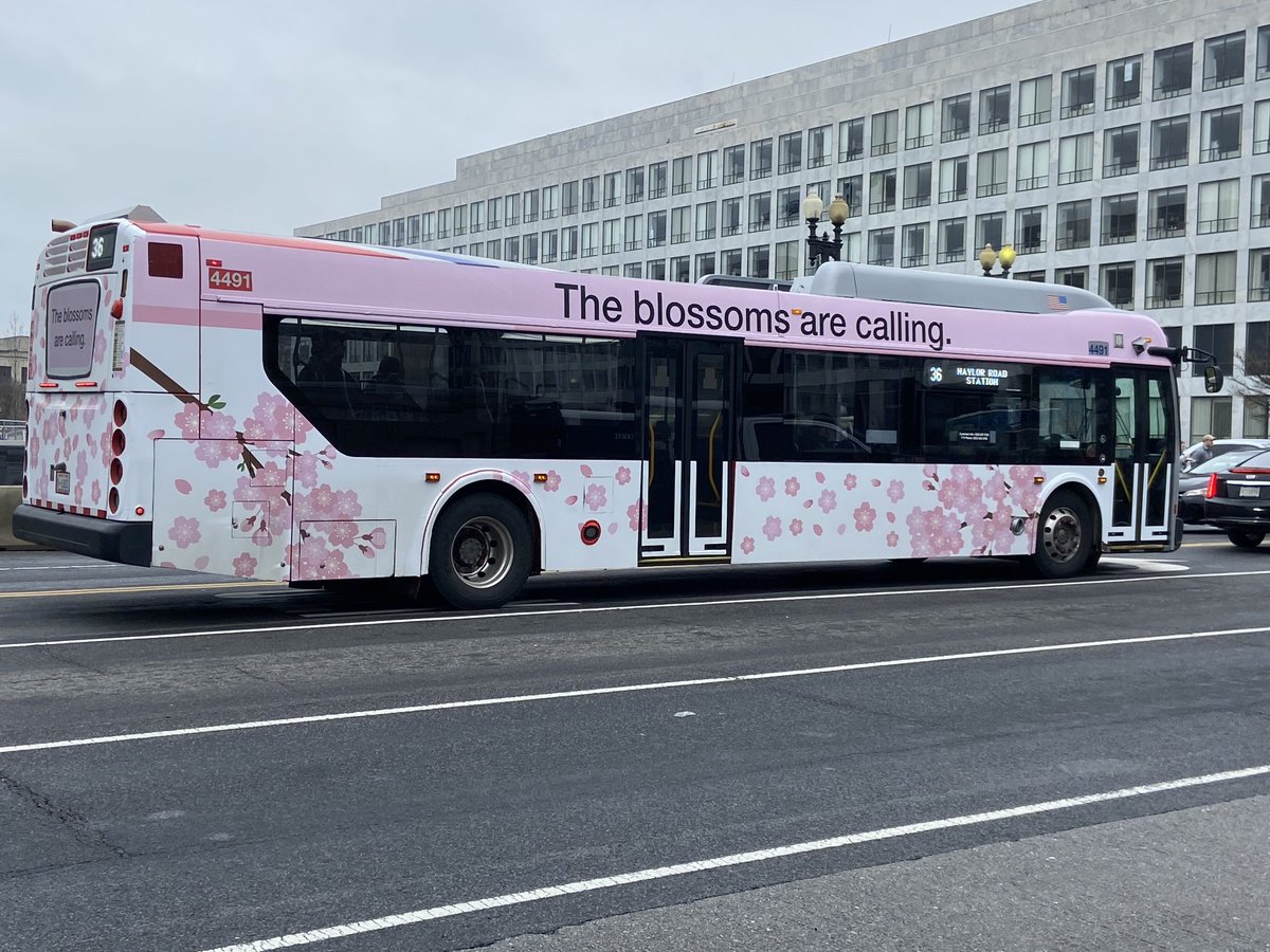⁦@wmata⁩ #blossomridedc while waiting for the 74 at the 7th and Independence stop, the 32 aka blossom bus brightened my Saturday afternoon. ⁦@CherryBlossFest⁩