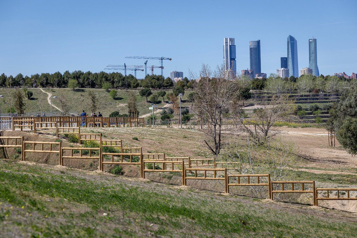 AlmeidaPP_'s tweet image. Inauguramos el parque Princesa Leonor.
Un nuevo pulmón verde con más de 5.200 árboles, 167.000 arbustos, 10km de senderos y 3km de carril bici. 

Gracias a todos los que lo habéis hecho posible, en especial a la Junta de Compensación de Valdebebas. 

¡Seguimos, Madrid!