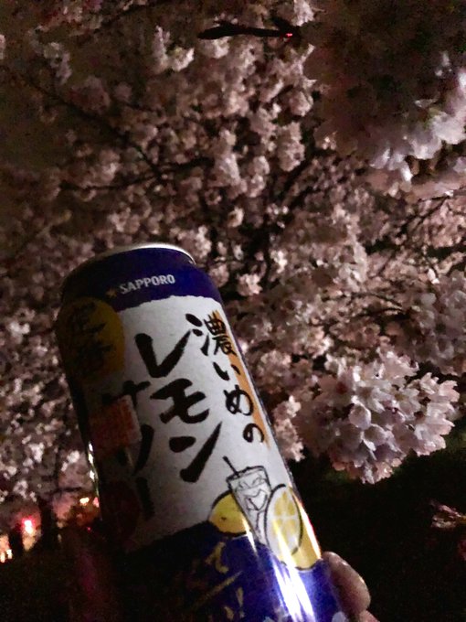 夜桜四重奏 