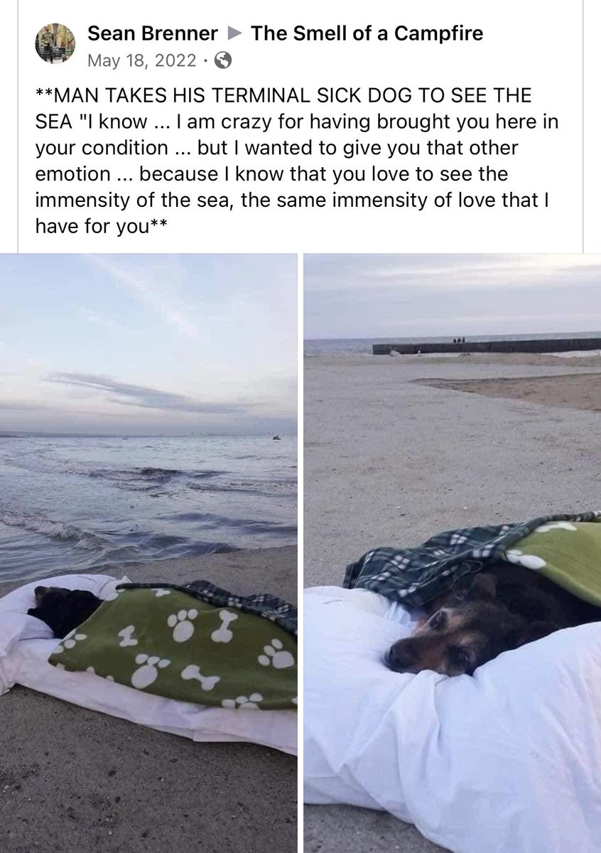 DudespostingWs's tweet image. 