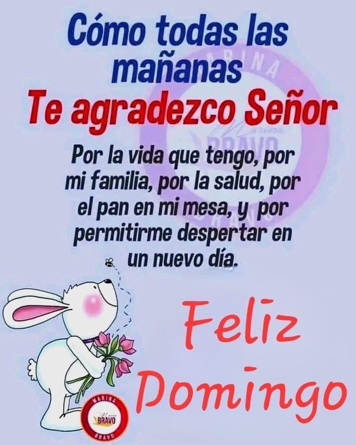 #ManoDuraContraLosCorruptos Bendiciones mi VENEZUELA Bella como te han dañado pero,como siempre,saldremos de todas esas plagas corruptas <a href="/quiskillosa/">Quiskillosa</a> <a href="/WilfredoMiraba2/">Wilfredo Mirabal</a> <a href="/lilianari_01/">liliana Apoyo el emprendimiento nacional</a> <a href="/eleidyramirez/">Mgs. Eleidy Ramirez🤗🌷🌹⚡🇻🇪⚡</a> <a href="/Titomara4/">Titomara🌐</a> <a href="/lrrc2020/">#TuiterosPatriotas😷</a> <a href="/magopuki/">Manclar</a> <a href="/FuriaRo83859453/">Manclar Gaming</a> <a href="/JhosepTaipan/">@TaipanJhosep</a> <a href="/beatriz77748/">Beatriz Rojas ❤🌹</a> 💛💙❤