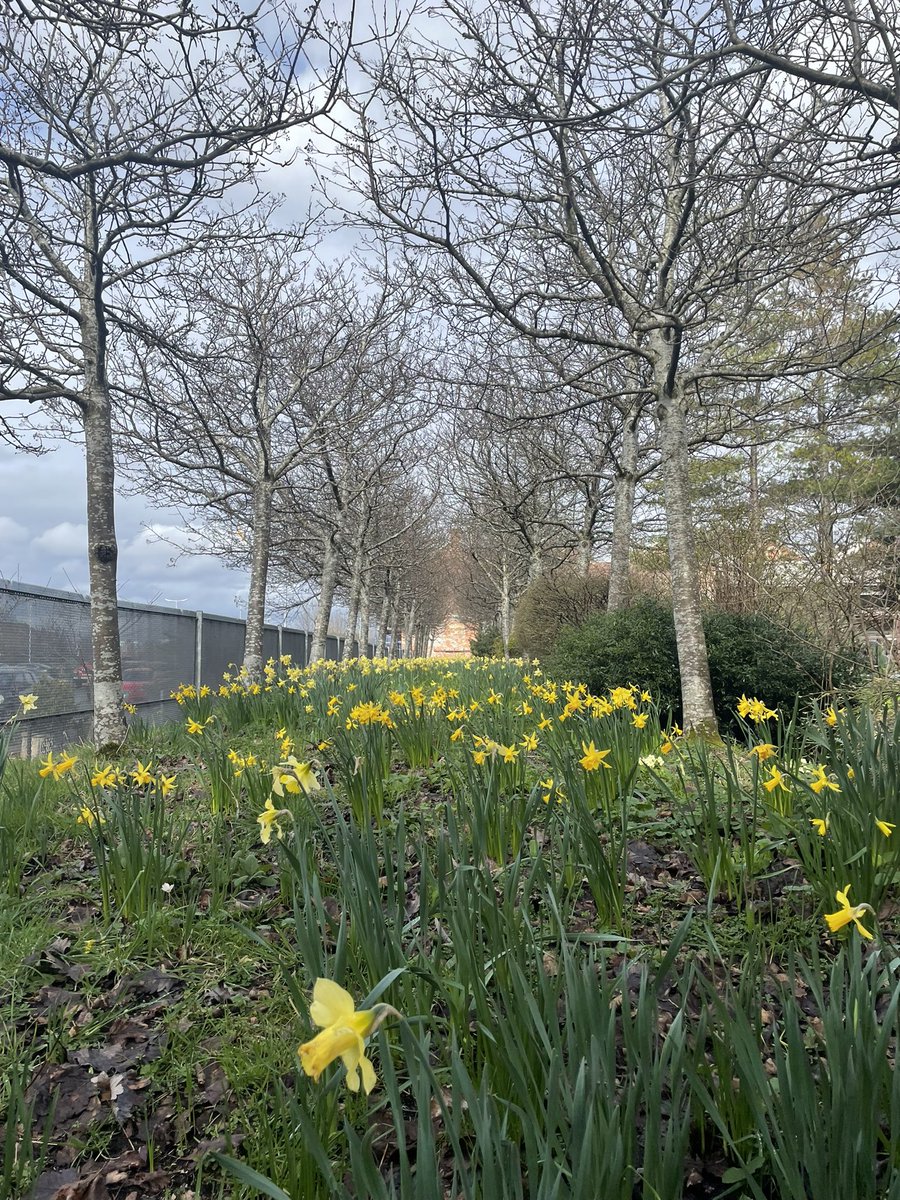 Yesterday, the #GALLANTGlasgow #photomappers had a fantastic time exploring the @Hidden_Gardens 🌳🗺️ So inspiring to see a once derelict space transformed into such a peaceful place. Thanks for showing us around Andrea, we will be back! #hiddenGlasgow #mappingadventures 📷