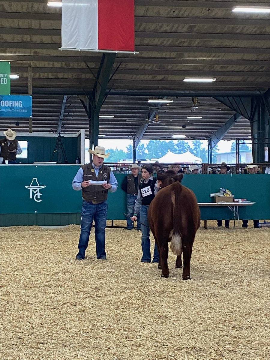 findtanis's tweet photo. Loryn Gates with her scramble heifer! Third place in glass good job girls! @WillisISD_CTE https://t.co/DXMekoVP4t