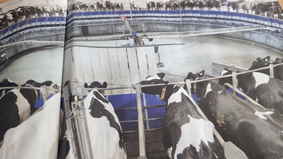 guidowelter's tweet image. Wat vind jij? 
Is dit nog #boeren? 
Of is dit veeindustrie=Tierindustrie?
Powered by #rabobank