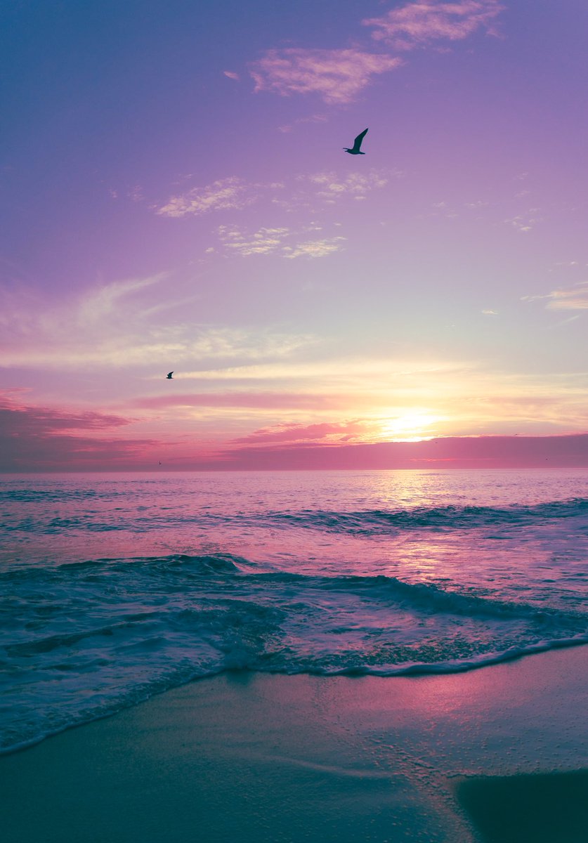 kaeganmc's tweet photo. I want to fly away. https://t.co/HfWDasn3ka