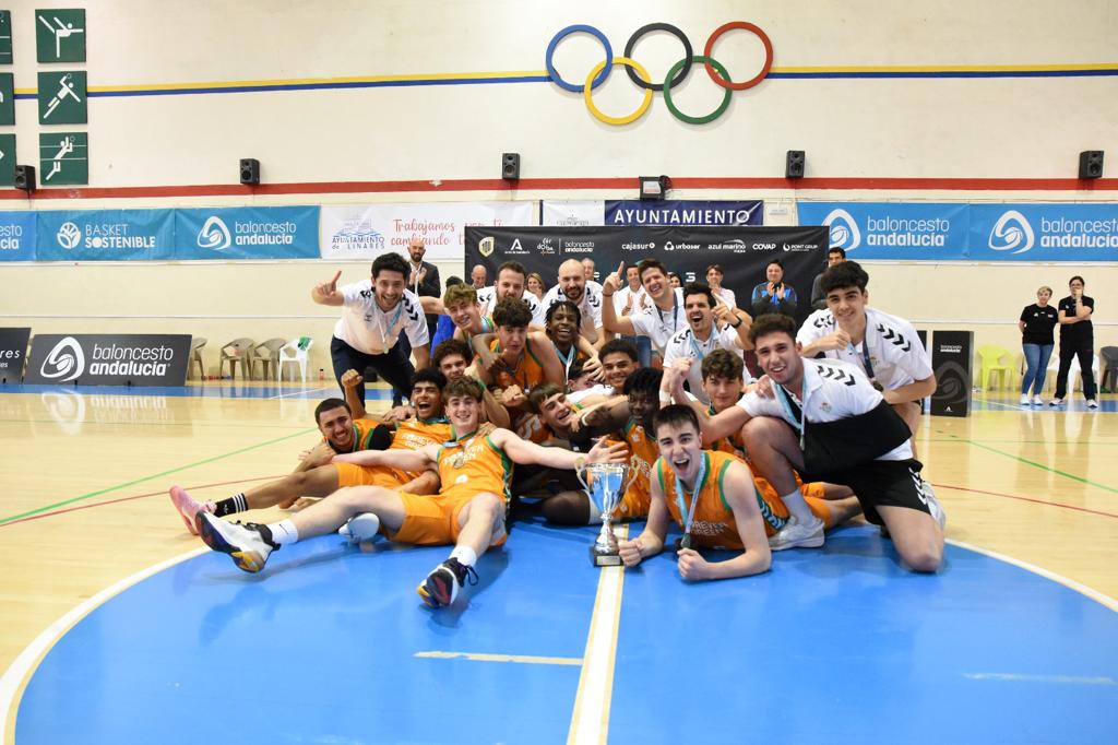 Baloncesto Sevilla tweet media