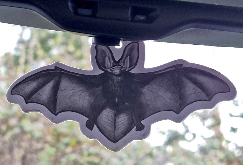 sophiecooper193's tweet photo. I don't normally have air fresheners in the car, but this was too beautiful not to use! ๐ฆ๐
@WildlifeAcoust @_BCT_ #SWBatConf #Bats https://t.co/YDPTqbu3m5