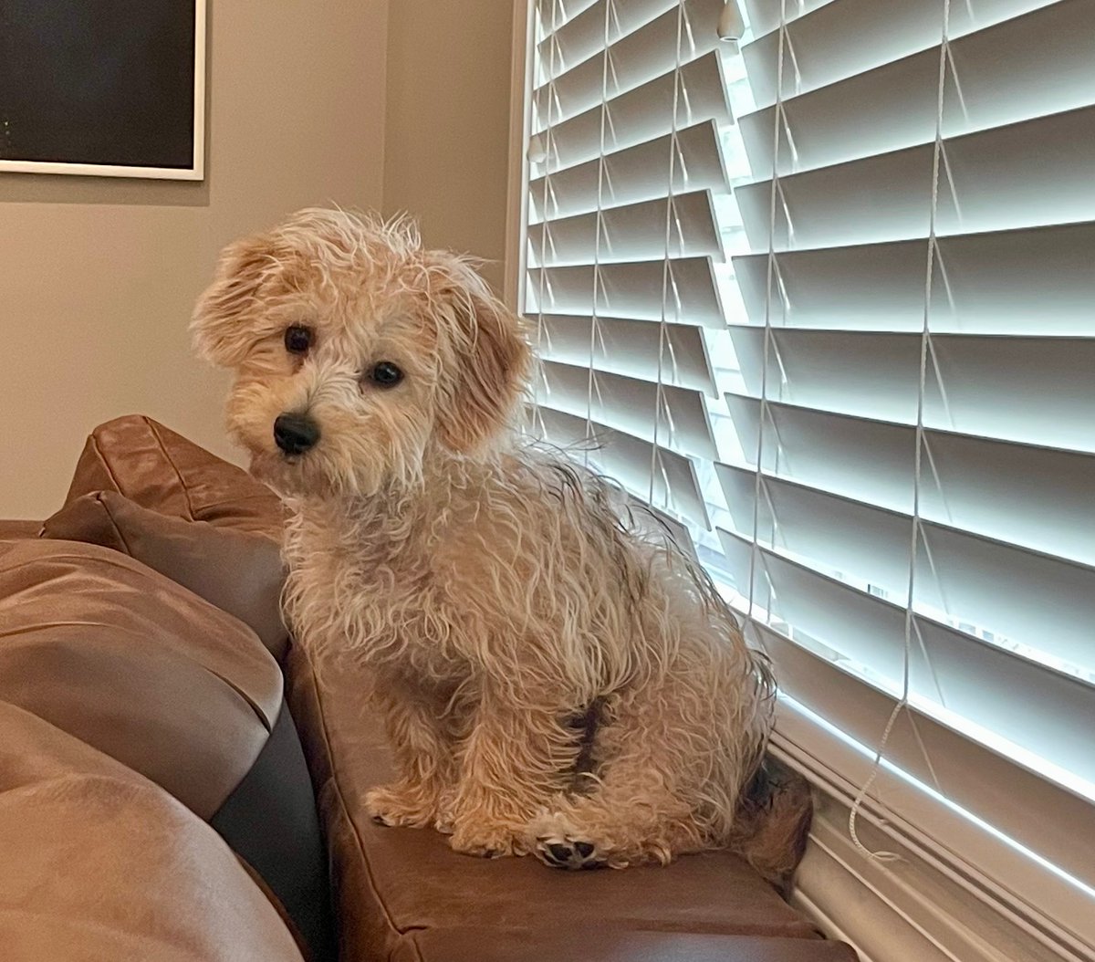 Happy Birthday little Honey Bea!