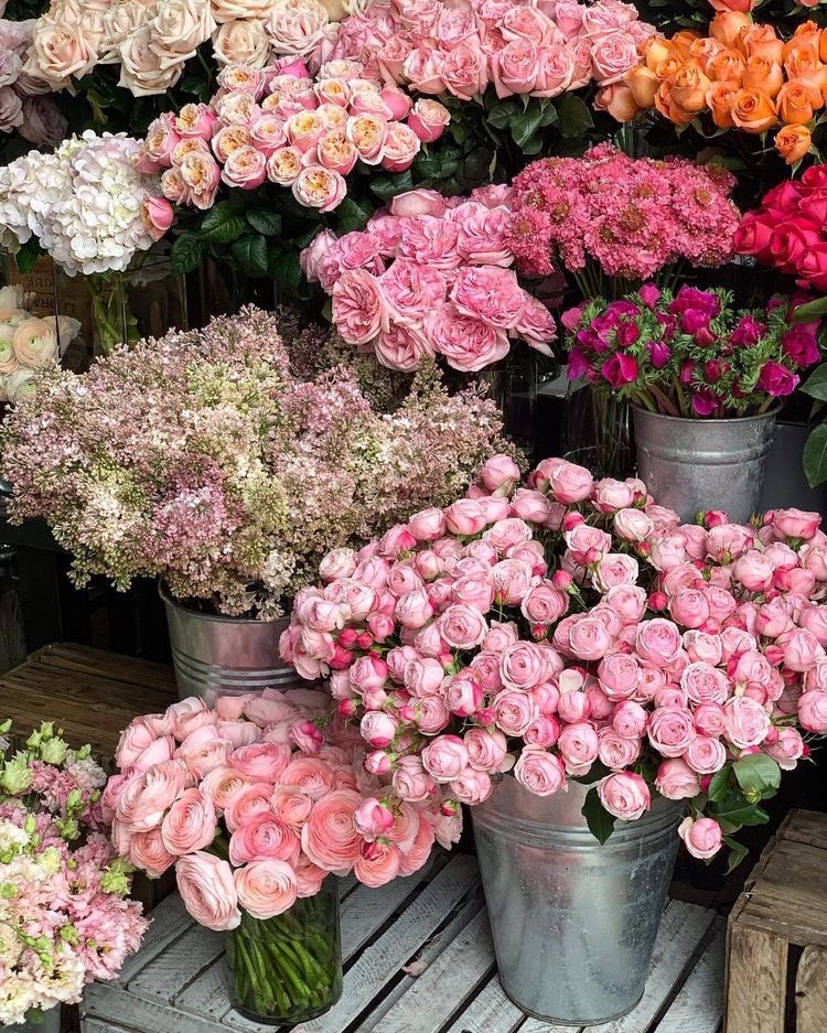 liviuuh's tweet photo. pretty flowers 🫶🏼 https://t.co/gr5WnJtpqz
